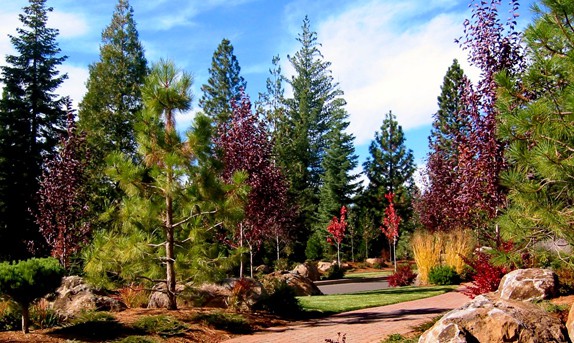 Foxwood Lake Almanor 