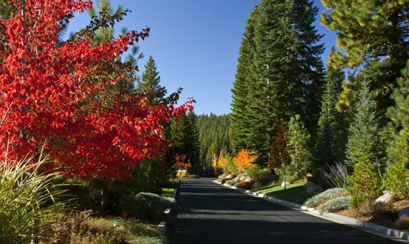 Foxwood Lake Almanor